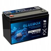 Akumulator Bluebox 12 V 120 Ah