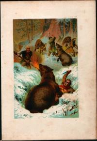 g0873 Atak niedzwiedzi. Kolorowa oryginalna litografia z okolo 1900 roku