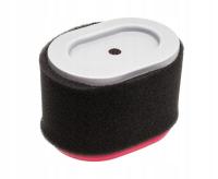 FILTR POWIETRZA BRIGGS & STRATTON 550 796970