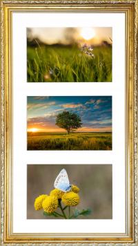 Ramka galeria na 3 zdjęcia 15x23 Multirama – zestaw kolaż zdjęć rama