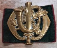 odznaka wojskowa -beret