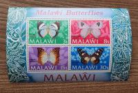 Fauna - Motyl - Motyle - Malawi