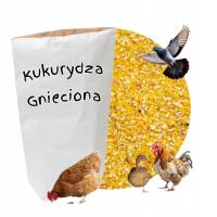 КУКУРУЗА ПОМЯТЫЙ КОРМ МЕЛКОЕ ЗЕРНО ДЛЯ ПТИЦЫ КУРИЦА УТКА ГОЛУБЬ