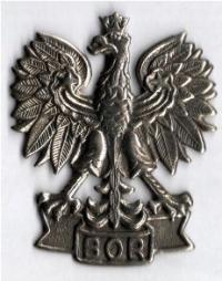 Орел металлический Бюро Охраны Правительства - БОР