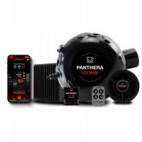 Активный выхлоп Panthera LEO 7.1 / 16 звуков автомобилей / приложение / пульт дистанционного управления / OBD2