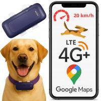 4G GPS-ТРЕКЕР ДЛЯ ДОМАШНИХ ЖИВОТНЫХ, ЛОКАТОР ДЛЯ СОБАК, КОШЕК, БЕЗ ПОДПИСКИ