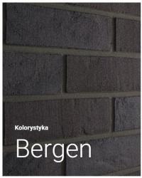 ELASTOLITH Bergen - Elastyczny Klinkier