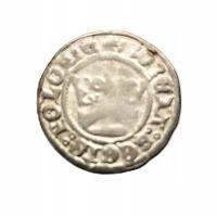 Półgrosz Koronny, Aleksander Jagiellończyk (1501-1505), mennica Kraków.