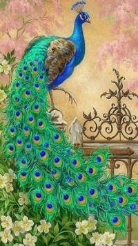 HAFT DIAMENTOWY mozaika diamentowa diamond painting obraz paw ptak 30x40 cm