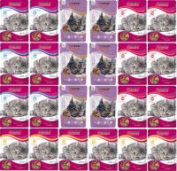 Saszetki dla kota Benek Mokra karma dla kota Benek Mix Smaków 24x100g