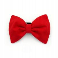 Czerwona Muszka dla Psa ozdoba dla pupila Amor uniwersalny