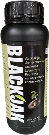 BLACKJAK 1l