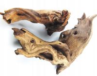 Korzeń mopani S (SpidersForge)