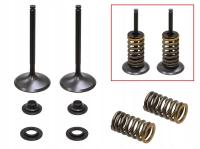 ZAWORY SSĄCE (KOMPLET 2 SZT. ZAWORÓW ZE SPRĘŻYNAMI I PODKŁADKAMI) YAMAHA WR