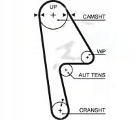 Gates 5593XS Pasek rozrządu
