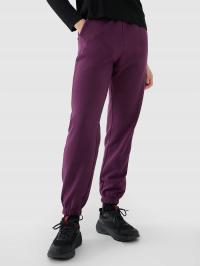 ЖЕНСКИЕ СПОРТИВНЫЕ БРЮКИ 4F JOGGERS TTROF1013 SS25