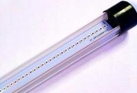 APE LED T55PSM.12.Actinic 15 W