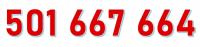 501 667 664 STARTER ORANGE ZŁOTY ŁATWY PROSTY NUMER KARTA PREPAID SIM GSM