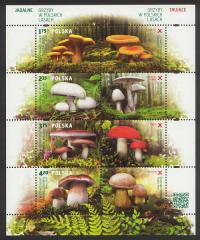 Blok 266 ** Grzyby w polskich lasach 236 4545-48