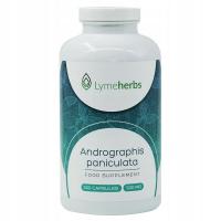 Andrographis paniculata 500 мг, 500 капсул
