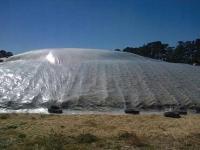 Plandeka kiszonkarska podkładowa 14mx50m, 40my, transparentna