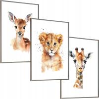 Plakat 3 x 30x40 Zwierzęta Zoo Safari obrazek bez ramy Wzory