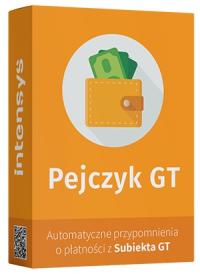 INTENSYS Pejczyk GT 1 PC / бессрочная лицензия ESD