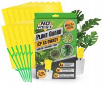 ПАРНИКОВЫЙ ГОРШОК ДЛЯ ТЛИ ЗЕМЛЯНЫЕ МУХИ МУРАВЬИ БЕЗ ВРЕДИТЕЛЕЙ 12 ШТ