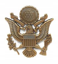 Odznaka na czapkę US AIR FORCE HAT INSIGNIA - Metal - Gold
