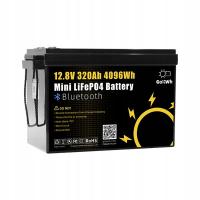 Gokwh 12V 320AH LiFePO4 Bateria litowa 4096Wh 200A BMS Domowy magazyn energii