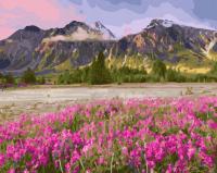 Набор для рисования по номерам на раме акриловые краски 40x50 см