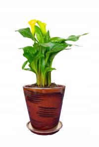 DONICZKA CERAMICZNA BRĄZOWA MAZANA DEKORACYJNE PASKI ŚR 19CM W 19,5 CM DUŻA