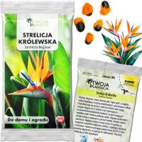 Королевская Стрелиция Семена Strelitzia Reginae Райская Птица Свежие 5 Семян