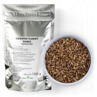 РАСТОРОПША ПЯТНИСТАЯ СЕМЕНА свежие польский 1 кг