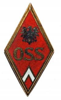 Odznaka Oficerska Szkoła Samochodowa OSS wzór 1952 oryginał Piła