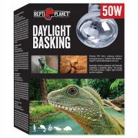 Repti Planet Żarówka grzewcza Daylight Basking 50W