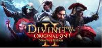 Divinity Original Sin 2 DEFINITIV полная версия STEAM