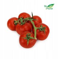 Pomidory na gałązce świeże bio około 5 kg