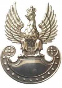 Эмблема металлический орел на роговице MON