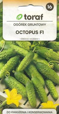 Ogórek konserwowy OCTOPUS F1 gruntowy wczesny nasiona 1 g
