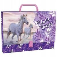 DERFORM TECZKA C4 Z RĄCZKĄ TWARDA KONIE 25