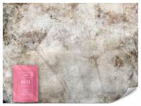 FOTOTAPETA DO SALONU SYPIALNI DMUCHAWCE KWATY BETON ABSTRAKCJA 400x280