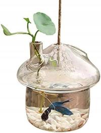 Wiszący szklany wazon na rośliny akwarium pojemnik terrarium