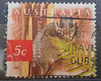 Australia luzak kas - 22/3 ssaki