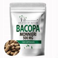 BACOPA MONNIERI BRAHMI 500mg PAMIĘĆ BAKOPA 120kaps STRES DEPRESJA NAUKA