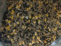 Królik – Bezzbożowa (częściowa) 20 kg – wysokobiałkowa pasza dla królików