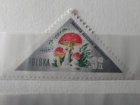OKAZJA!! 954 GRZYBY POLSKIE -czyste* *
