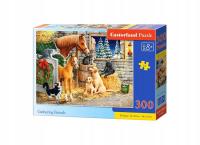 Puzzle 300 el. Gathering Friends Castorland