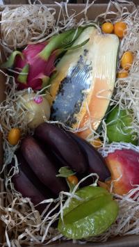 Box owoców egzotycznych- tropikalnych- prezent