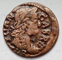 2538. Jan II Kazimierz, Boratynka litewska 1666